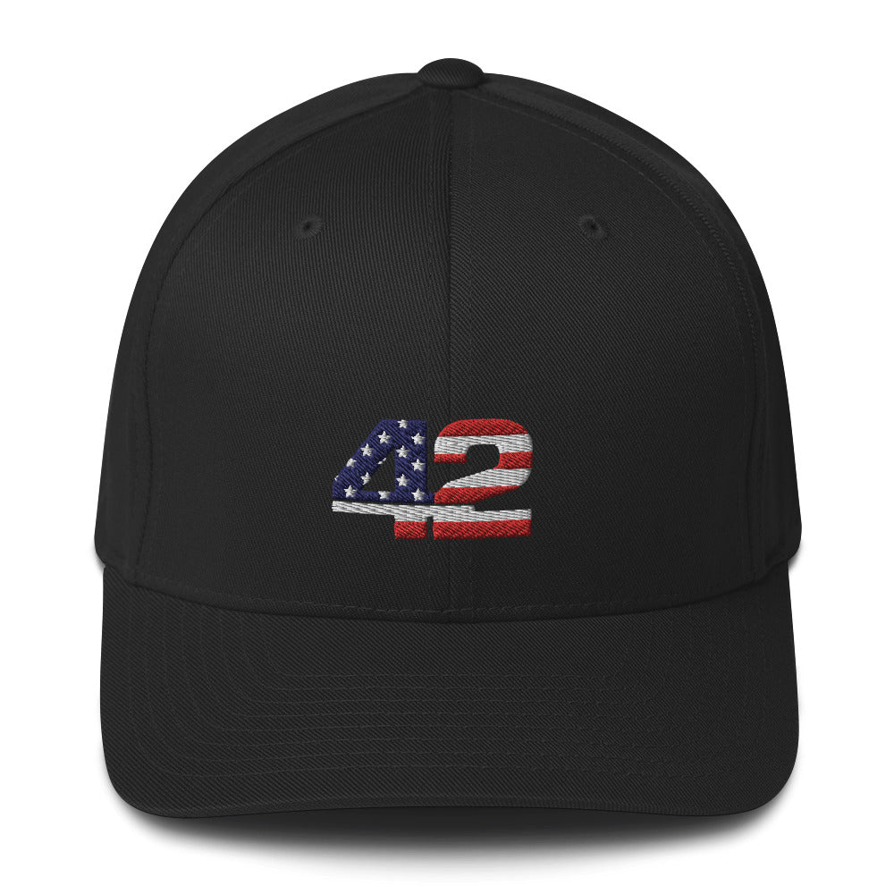 42 Flag Fitted Hat