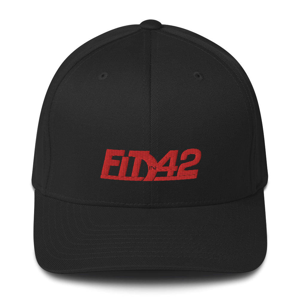 Fit in 42 Fitted Hat